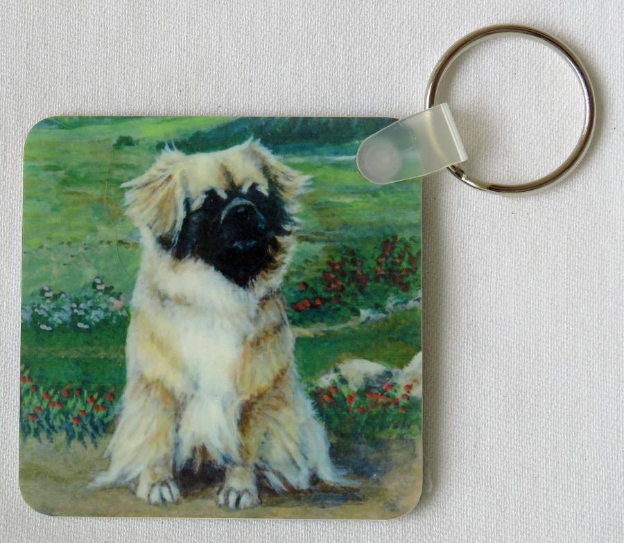 Tibbie 1 key ring-side 1